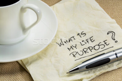 Essays on Life – V: On Notion of Purpose